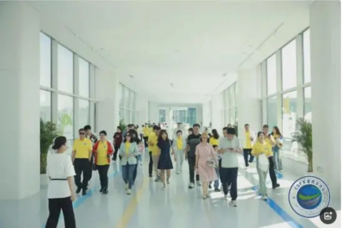 1737516070415988.png image.png