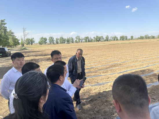 1747622615475673.png image.png