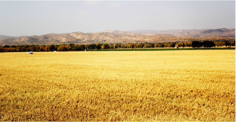 1758780318582779.png image.png